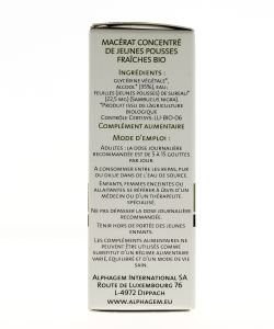 Sureau (Sambucus nigra) bourgeon BIO, 15 ml